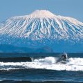 курилы серфинг сергей мысовский вулкан красиво
